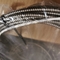 Curvada maestro Shielded 22AWG dos cabos de interconexão 3 de Nevada 16710-30